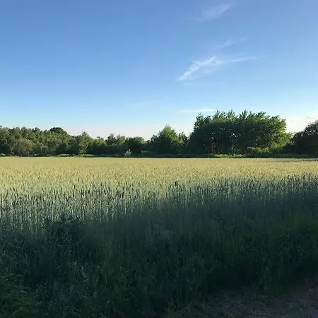 4 Mit 6 Betten Nahe Hamburg Glinde (Schleswig-Holstein)